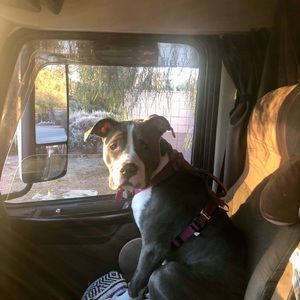 Meet your Posher, Linda